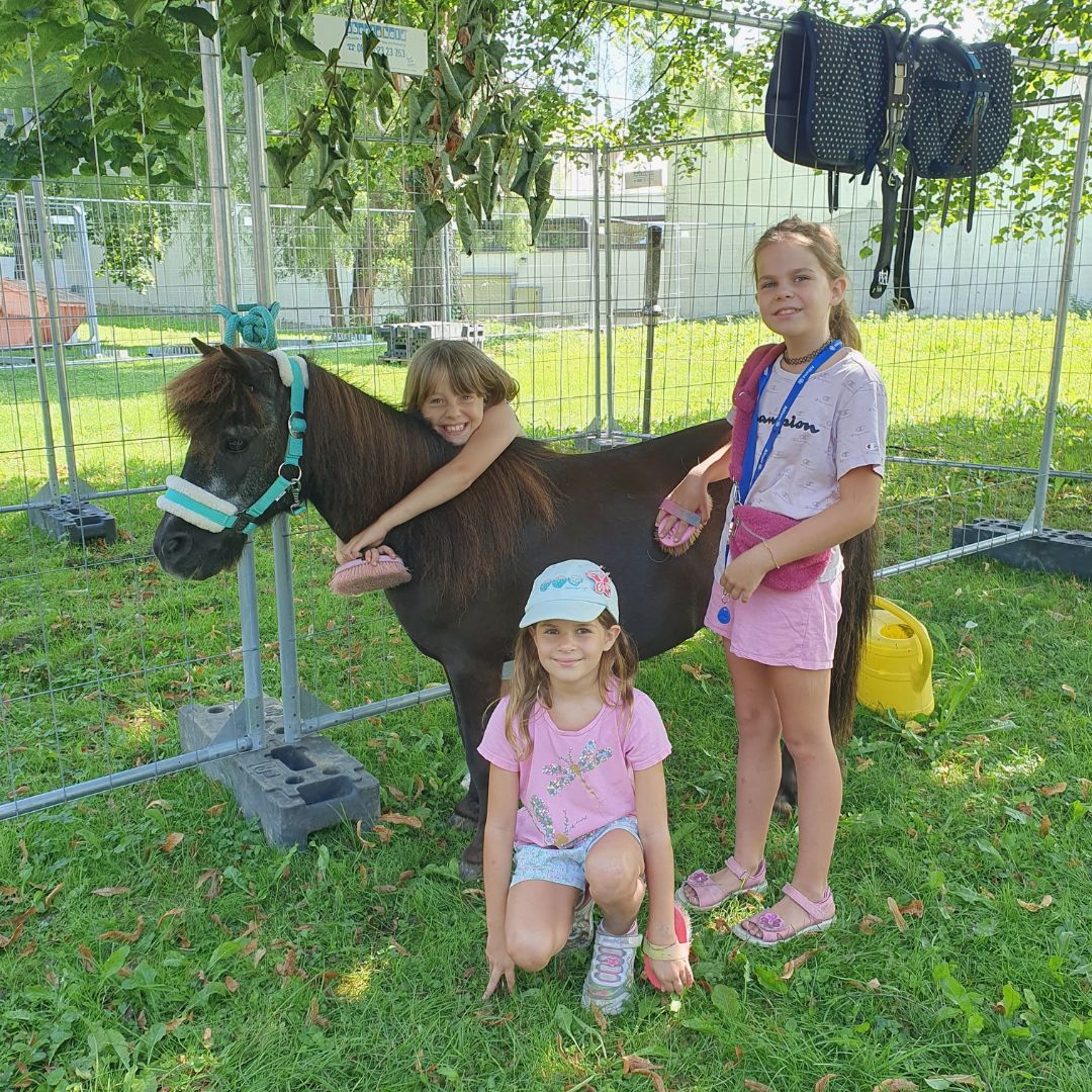 Spielkinder kümmern sich um ein Pony in der Arbeitsstelle Tierpflege der Spielstadt Bad Kresselnau.